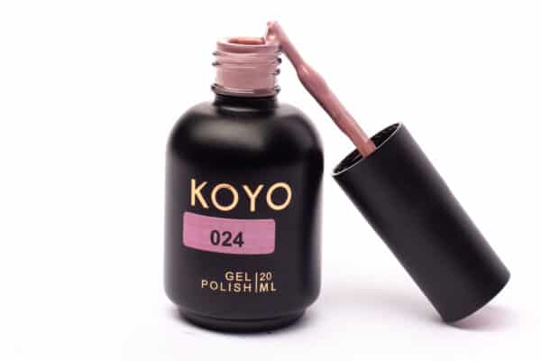 koyo 024