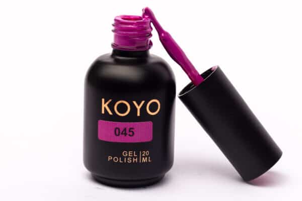 koyo 045