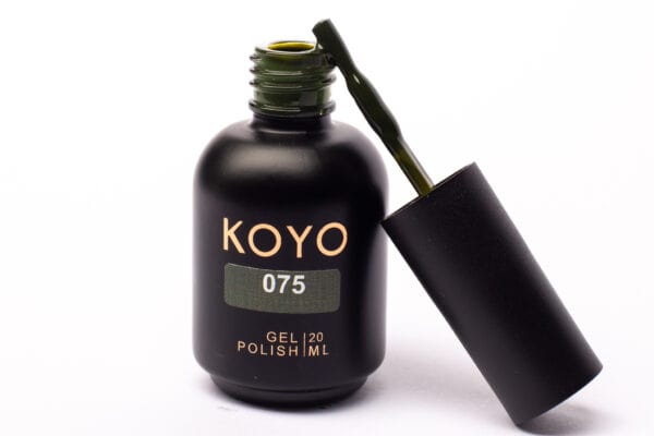 koyo 075
