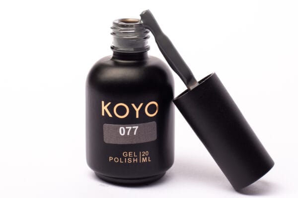 koyo 077