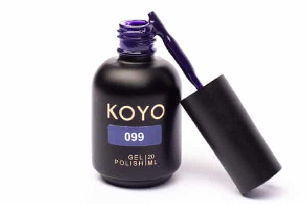 koyo 099