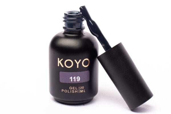 koyo 119