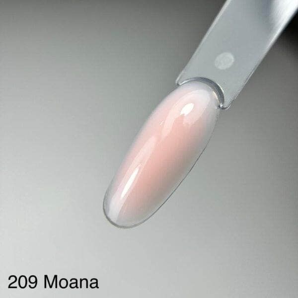 ⁦בל 209 - Moana⁩ – תמונה ⁦3⁩